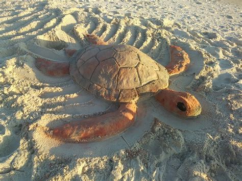 20181224 Sea Turtle Sand Sculpture Sand Art Sand Sculptures Sand