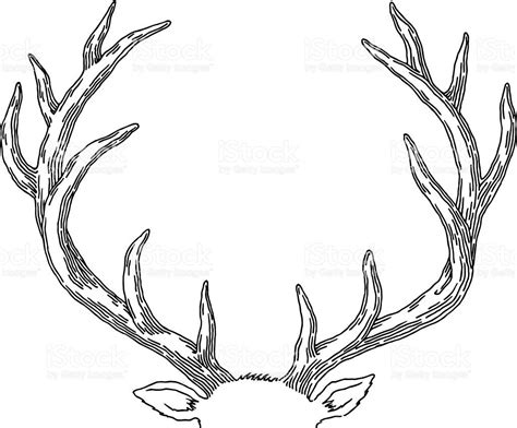 How To Draw A Deer With Antlers Cassi Shore