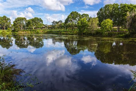 Wallpaper Reflection Sky Body Of Water Vegetation Water Resources