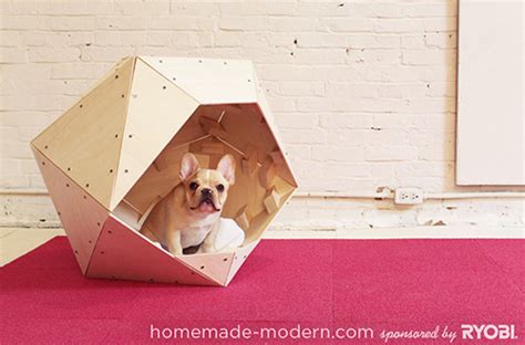 19 Wooden Dog Beds To Create For Your Furry Four Legged