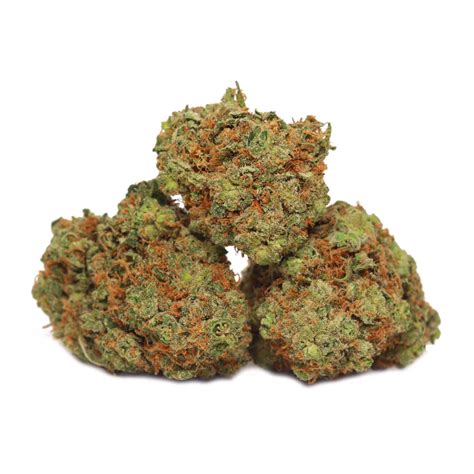 Gorilla Glue 4 Online Dispensary Canada Bulk Buddy Cannabis