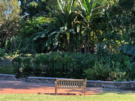 Fairchild Tropical Botanic Garden Coral Gables 2019 All You Need To