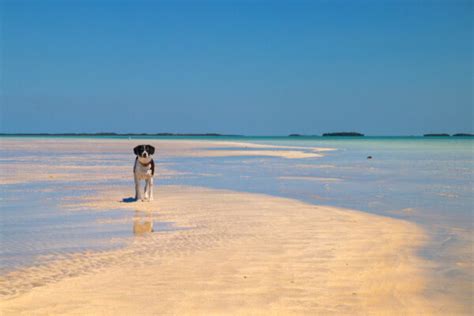 The 11 Best Beaches In Key West Sunbathe Swim Snorkel And More