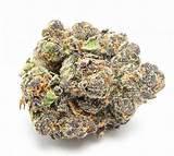 Best Marijuana Buds Pictures