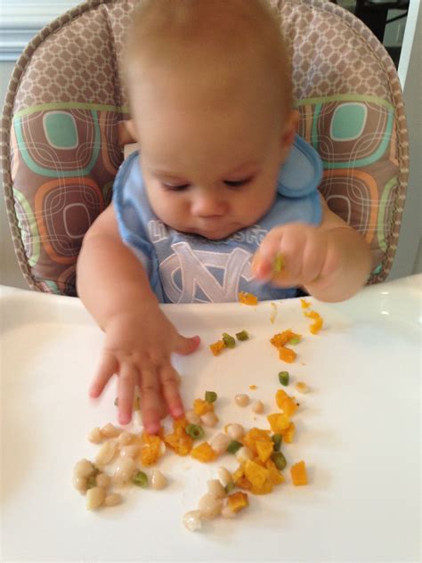These are great recipes that both my boys loved as babies (and still do now!). Baby Food: 8 to 9 months - SevenLayerCharlotte