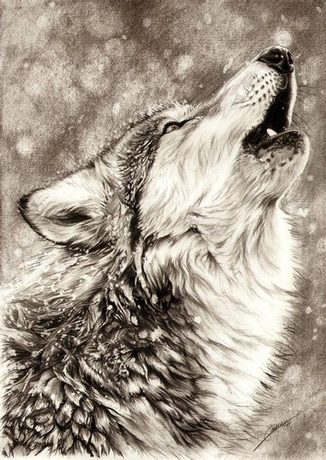Howling Wolf Pencil Drawings Of Animals Animal Drawings Art