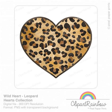 Leopard Heart Clipart Watercolor Png Clip Art Design For Etsy