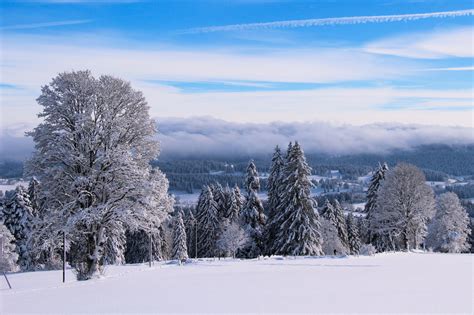 Wallpaper Blue Trees Winter White Snow Canon Season Landscape