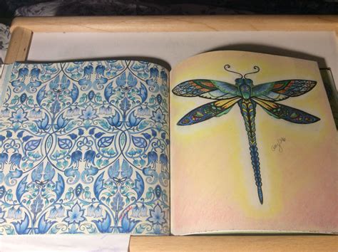 Blue Vines And Dragonfly Pages Enchanted Forest Johanna Basford