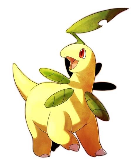 204 Best Chikorita Bayleef Meganium Images On Pinterest Pokemon