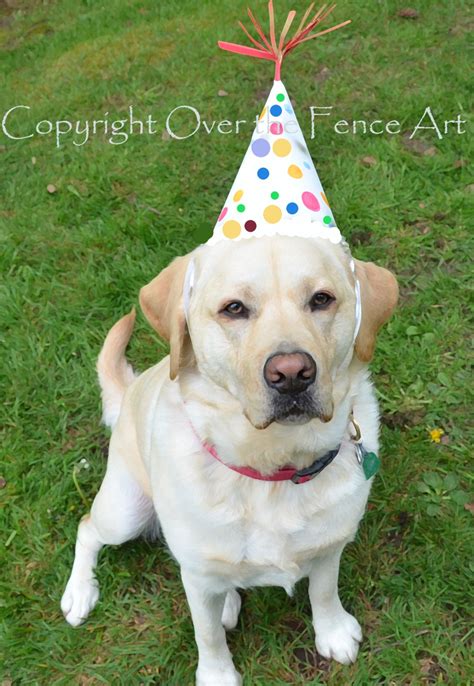 Dog Birthday Card YELLOW LABRADOR PUPPY with Happy Birthday