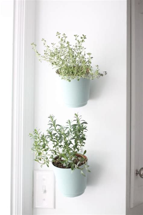 Locate it near your kitchen door to harvest fresh herbs in a you may choose to stain or paint your planter or contruct it from cedar which will weather naturally. DIY hanging planter tutorial Perfect for growing your ...