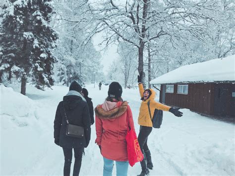 Five Things I Will Miss About The Swedish Winter Study In Sweden