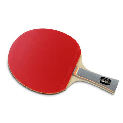Ping Pong Triumph Table Tennis Bat