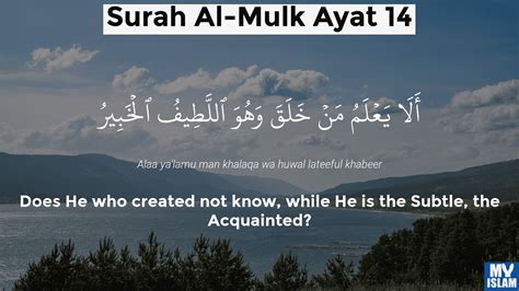 Surah Al Mulk Ayat 14 6714 Quran With Tafsir My Islam
