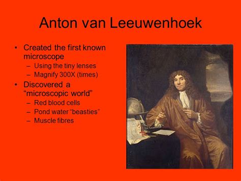 Anton Van Leeuwenhoek Cells