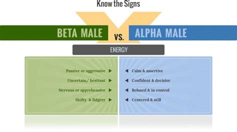 The Way Of The Alpha Male Alpha Male Quotes Alpha Male