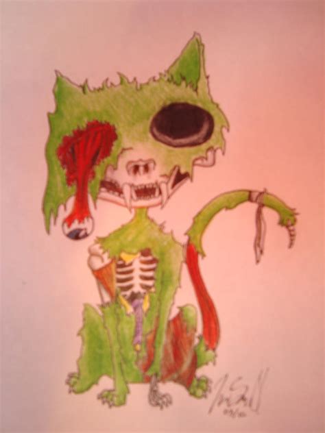 Zombie Cat By Madizilla On Deviantart