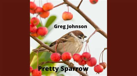 Pretty Sparrow Youtube