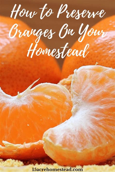 How To Preserve Oranges Road To Reliance Oranges Canning Recipes