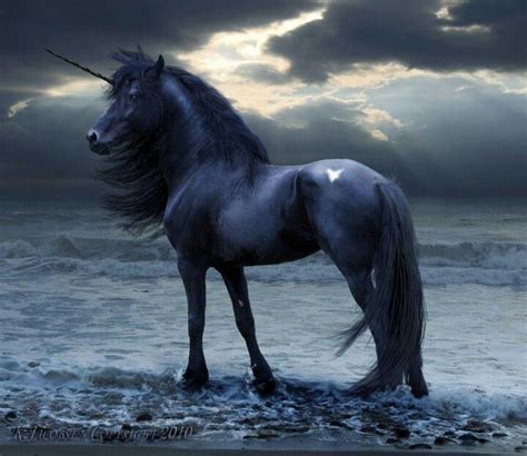 Black Unicorn Unicorn Animaux Legendaire Créatures Mythiques Et