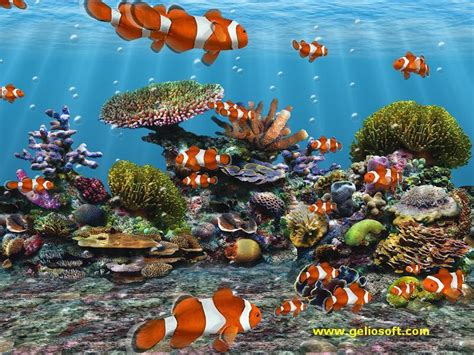 Free 3d Aquarium Screensaver For Windows 10 Tjlasopa