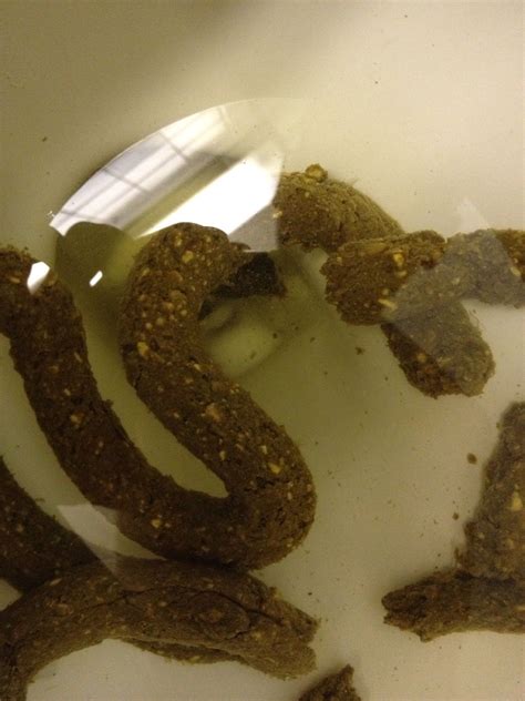 Soylent 20 Causing White Specksflakes In Poop Anyone Else Anyone