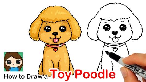 Next, draw out the shape of those floppy puppy ears as well as the shape of his round face. How to Draw a Toy Poodle Puppy Dog Easy - YouTube