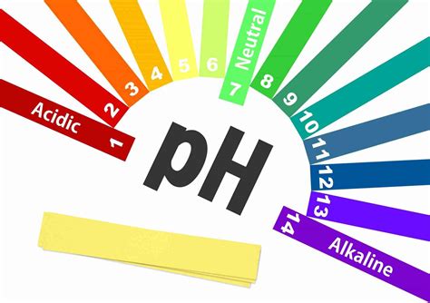 What Causes High Ph In An Aquarium Everything You Need To Know