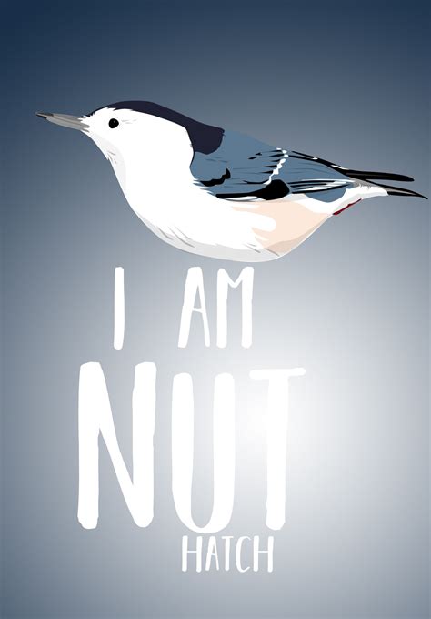 I Am Nut Show The Bird Nerd In You With This Funny Bird Pun Tee Shirt