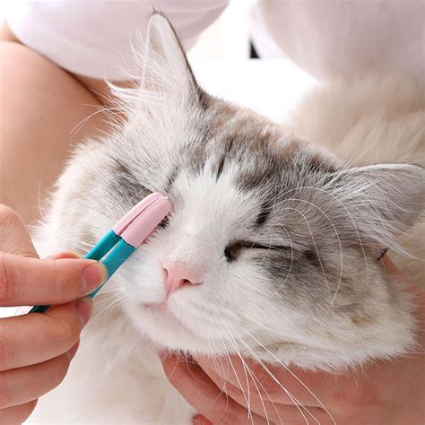Universal Cat Mucus Brush Handheld Kitten Eye Brush Harmless Convenient