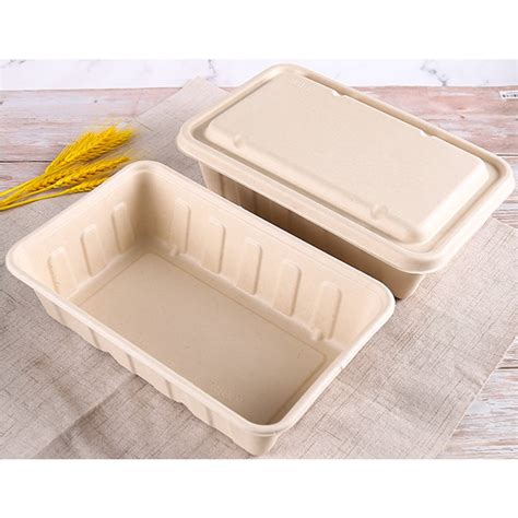 Per Piece 2500ml Sugarcane Bagasse Party Trays Pulp Eco Friendly Food