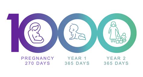 Tầm Quan Trọng Của Dinh Dưỡng Trong 1000 Ngày đầu đời Của Trẻ Viam Clinic