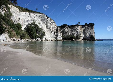 Spiaggia Della Nuova Zelanda Immagine Stock Immagine Di Spiaggia