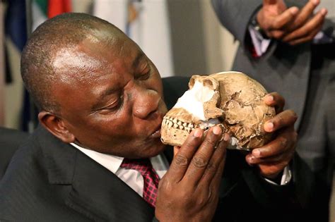This is the story of our very, very distant cousin, homo. Meet Homo Naledi - New human species discovered in SA