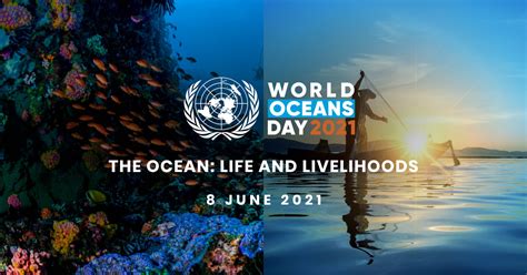 Schools Celebrate World Ocean Day Ocean Life Education