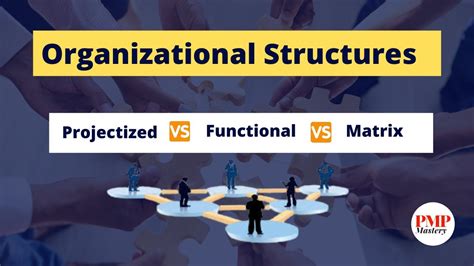 Projectized Vs Functional Vs Matrix Organization Type I Organizational