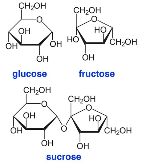 Fructose Structure Ring Glucose Sucrose Galactose Template C Erofound