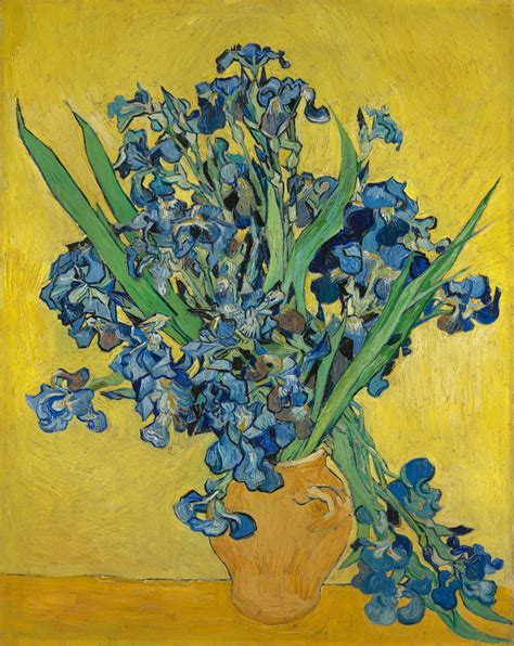 Van Goghs Irises And Roses At The Met Museum