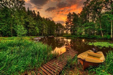 Landscape Forest Pine Trees Lake Wallpapers Hd Desktop And Mobile