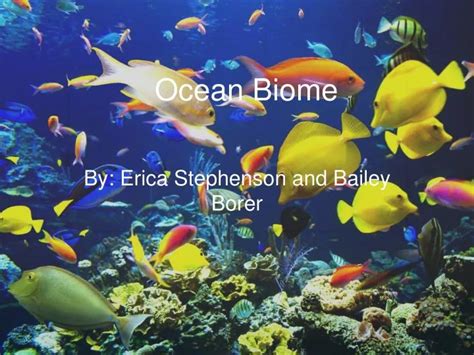 Ppt Ocean Biome Powerpoint Presentation Free Download Id1995533