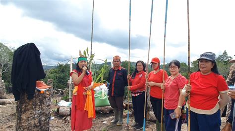 Tradisi Manugal Menanam Padi Ladang Berpindah Suku Dayak Siang Kab Murung Raya Kalimantan