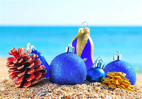 3700 Beach Christmas Ornaments Stock Photos Pictures And Royalty Free