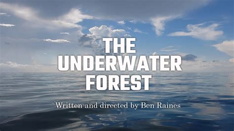 The Underwater Forest Youtube