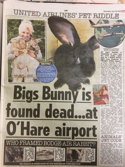 Giant Bunny Dies On Ua Flightand Its Not April 1st Page 4