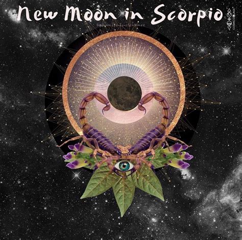 New Moon In Scorpio Body And Soul Sustenance