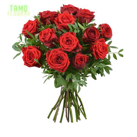 Descubra 100 Kuva Bouquet De 18 Roses Rouges Vn