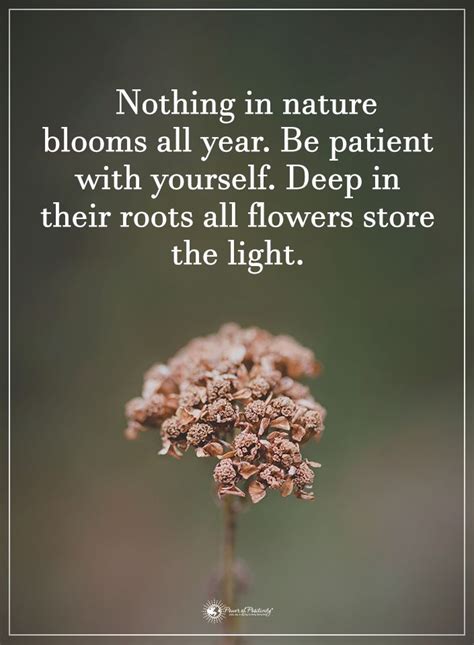Nothing In Nature Blooms All Year Be Patient With Yourself Deep In