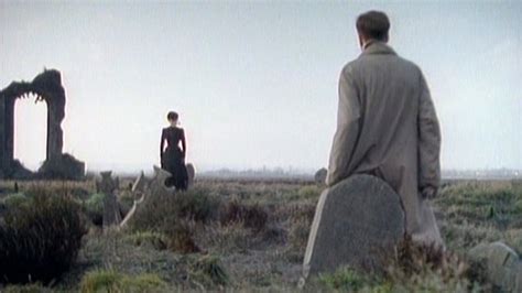 Pueden permanecer en el individuo adulto, como en el caso de las lampreas, o sólo ser plenamente funcionales en estado embrionario, como en el caso humano; Reminiscências: THE WOMAN IN BLACK (1989)