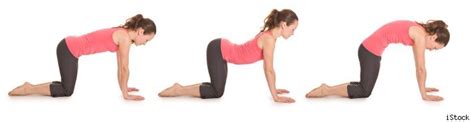 Stretching exercises are useful for muscle toning and also preventing this is the camel position. Simple At-Home Exercises to Remedy Scoliosis - Todays ...